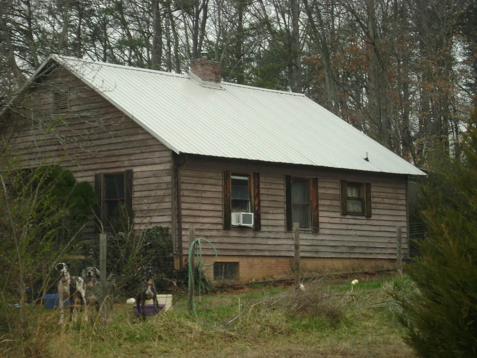 White metal roof on an old wood sided farmhouse, from a Asphalt Shingle Roof Repair job in Saint Matthews